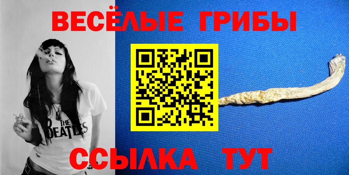 МЕФ Великие Луки