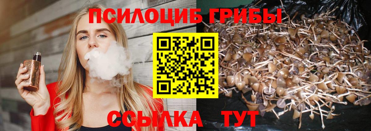 Великие Луки  Псилоцибиновые грибы Magic Shrooms  Галлюциногенные грибы ЛСД  Вход с VPN 